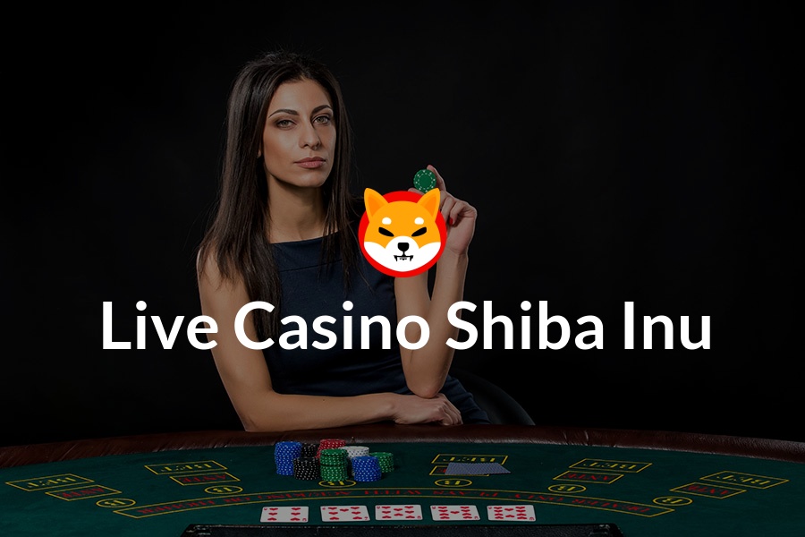 Casino en direct shiba-inu